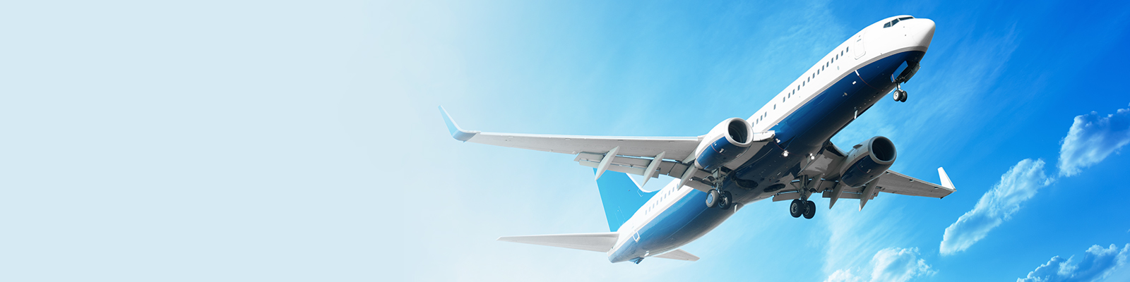 Travel Insurance